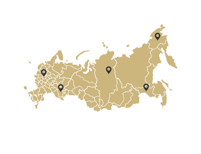 Своя быстрая доставка во все регионы